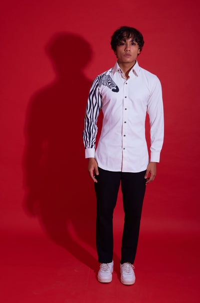 The zebra - XXL