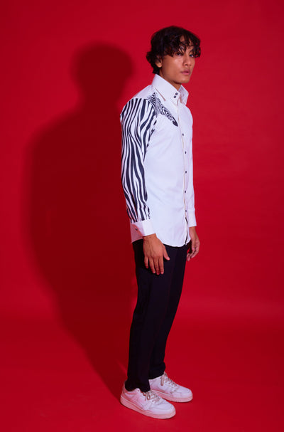 The zebra - XXL