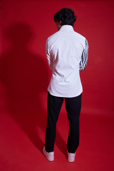 The zebra - XXL