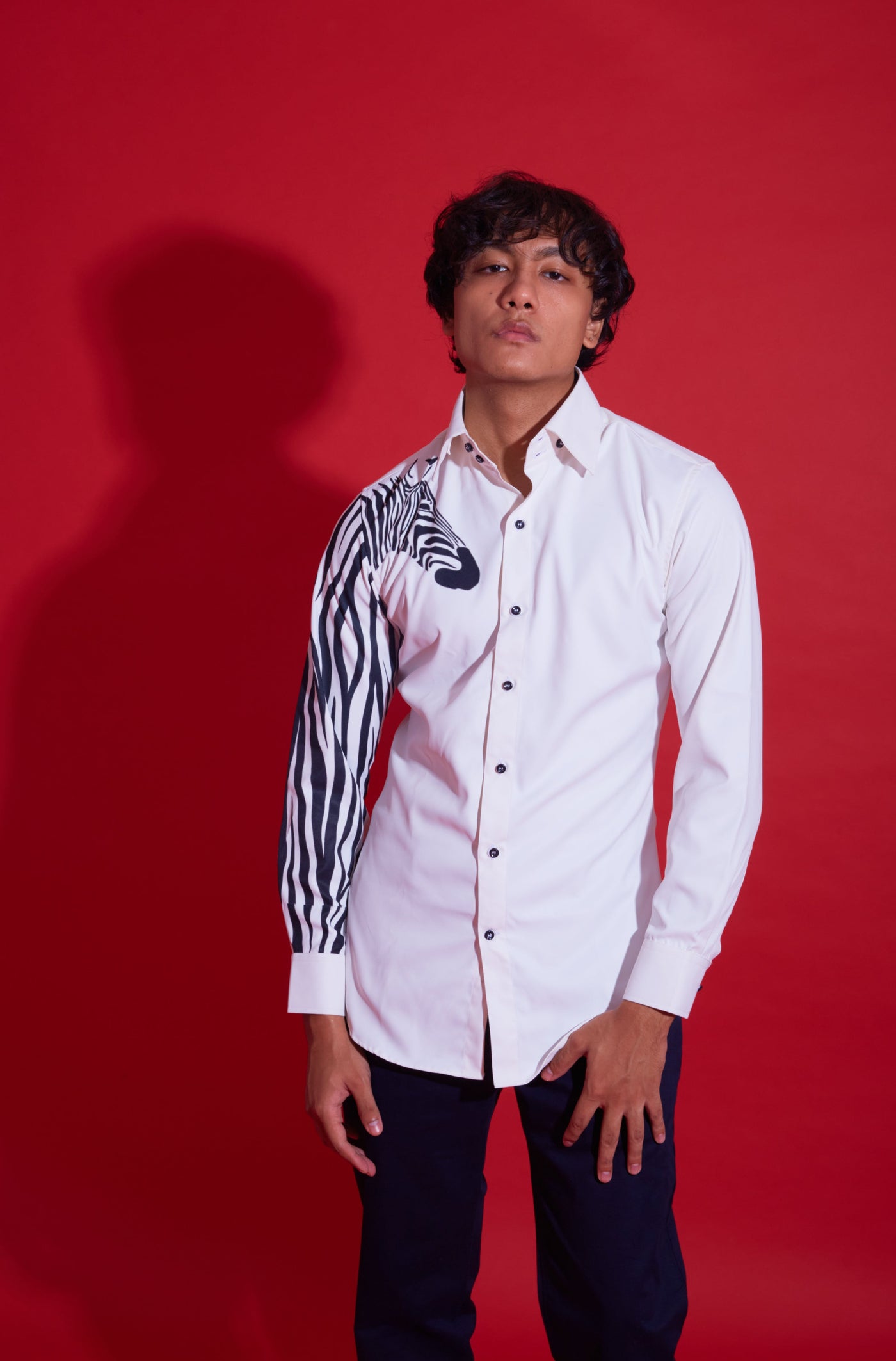 The zebra - XXL